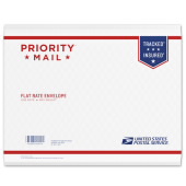 Priority Mail Padded Flat Rate Envelope
